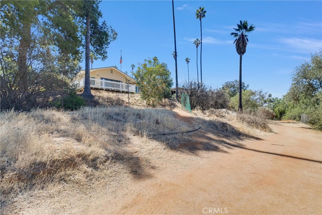 1505 Gratton Street Property Photo 41