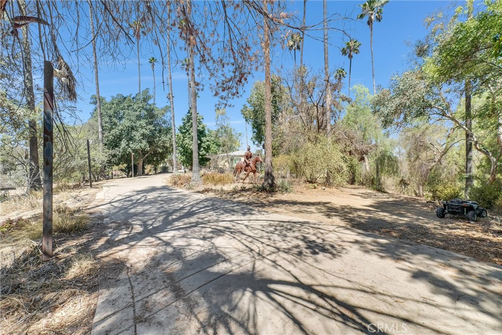 1505 Gratton Street Property Photo 53