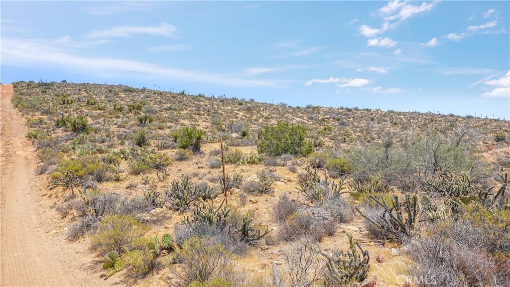 0 Desert Rose Ranch Road Property Photo 10