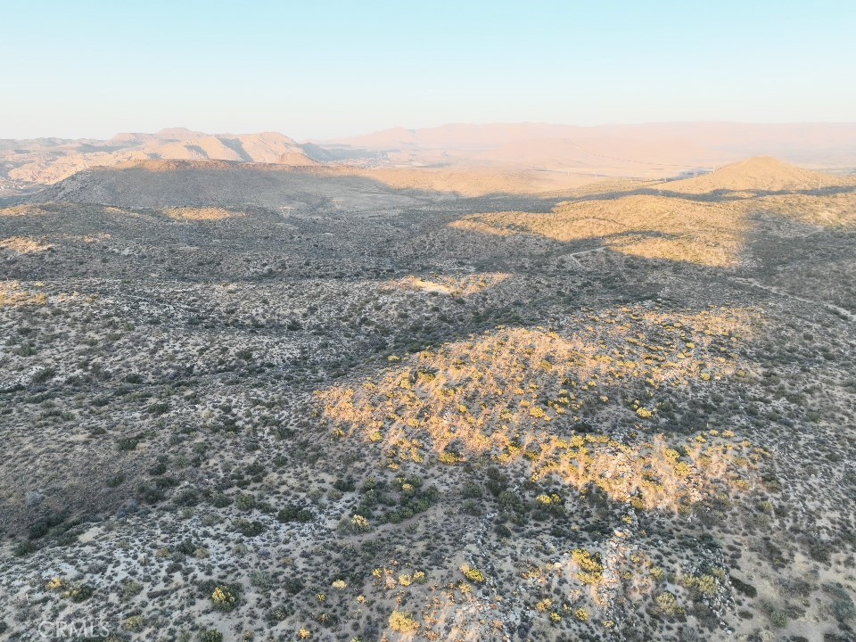 0 Desert Rose Ranch Road Property Photo 34