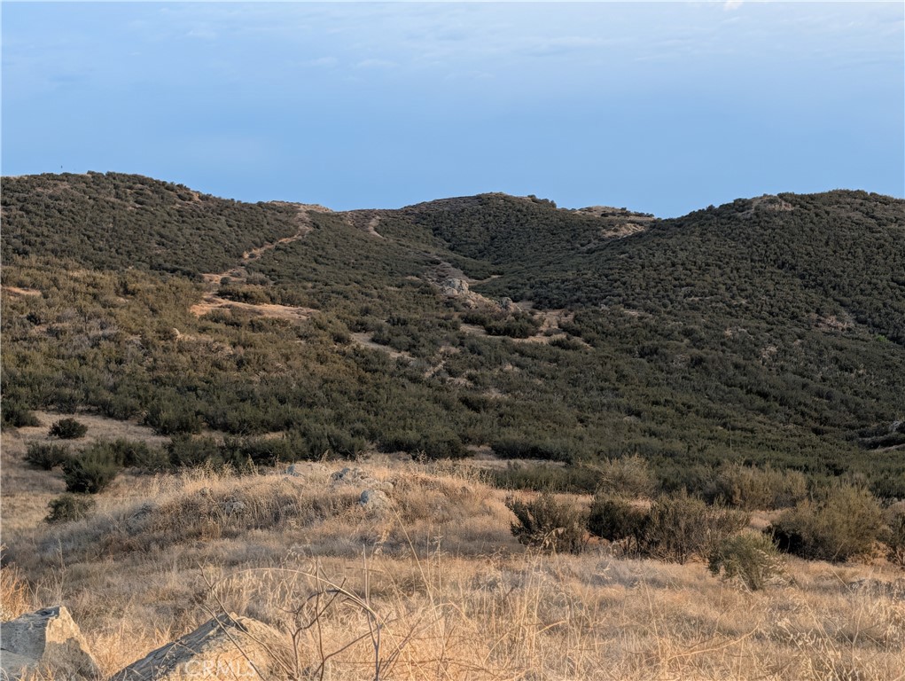 16690 Harris Property Photo 8