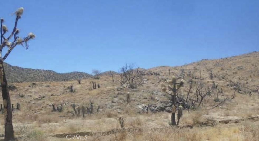 0 N Of Elata Avenue Property Photo 1