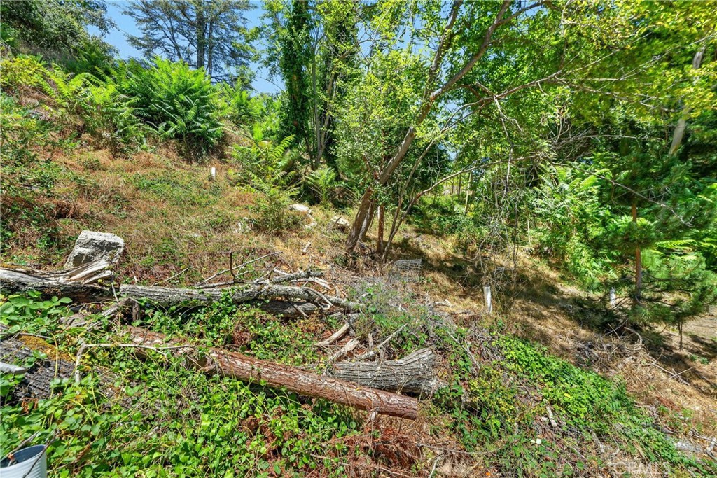 17940 Helen Way Property Photo 6