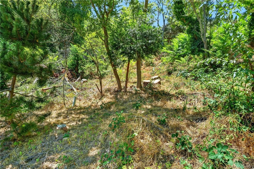 17940 Helen Way Property Photo 7