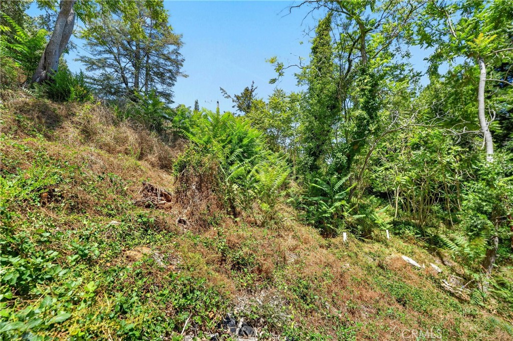 17940 Helen Way Property Photo 9