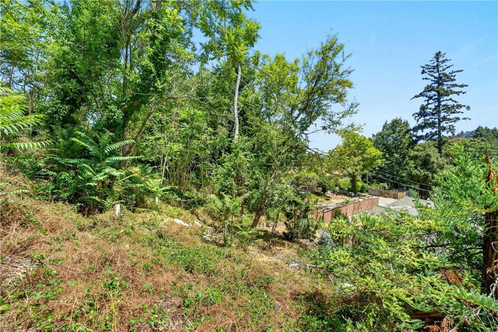 17940 Helen Way Property Photo 10