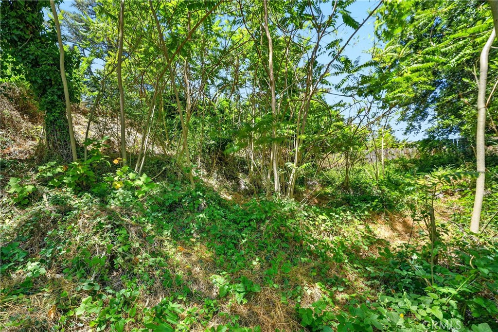 17940 Helen Way Property Photo 11