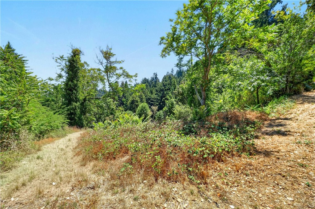 17940 Helen Way Property Photo 12