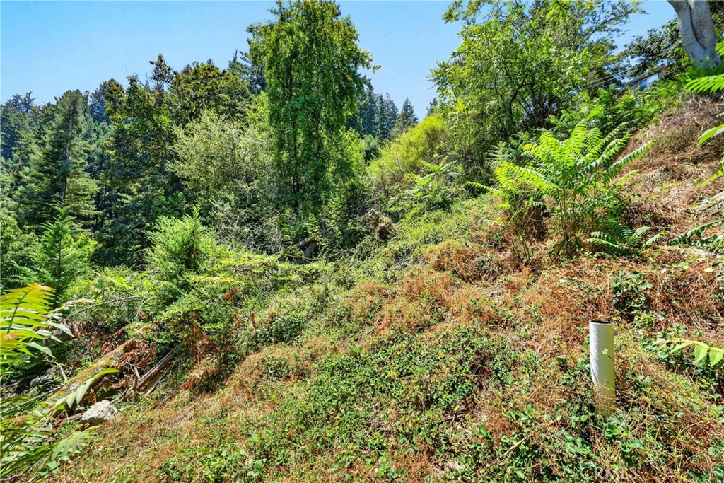 17940 Helen Way Property Photo 13