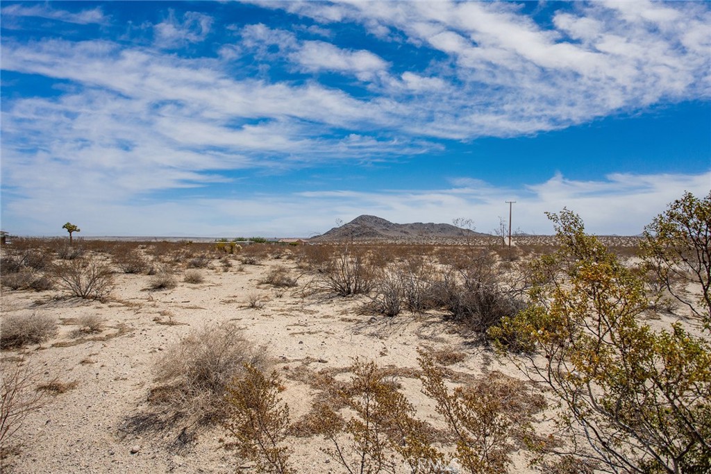 62826 Moonlight Mesa Street Property Photo 15