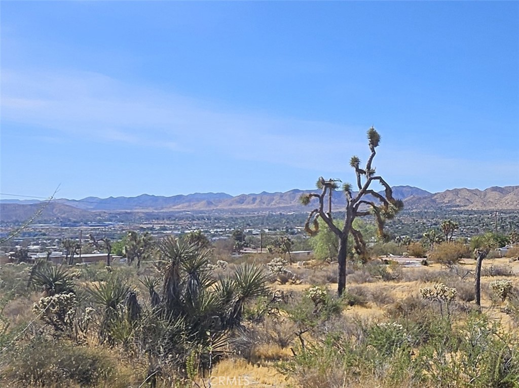6961 Cherokee Trail Property Photo 1
