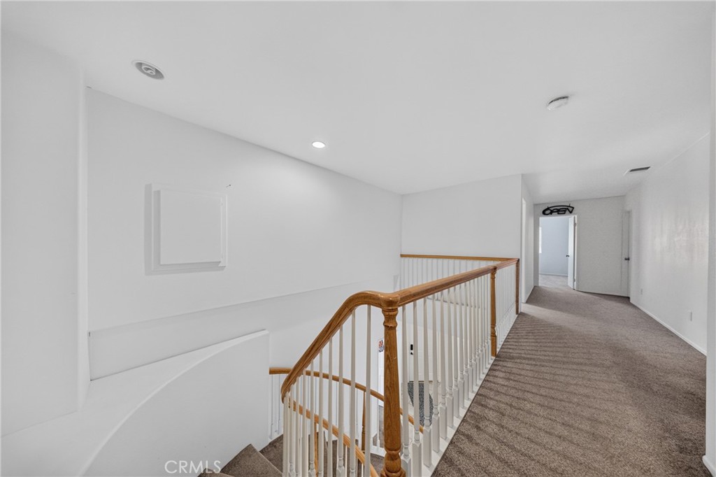 24600 Zuppardo Property Photo 14