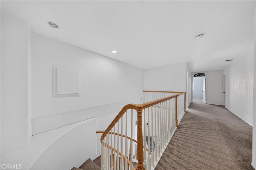 24600 Zuppardo Property Photo 14