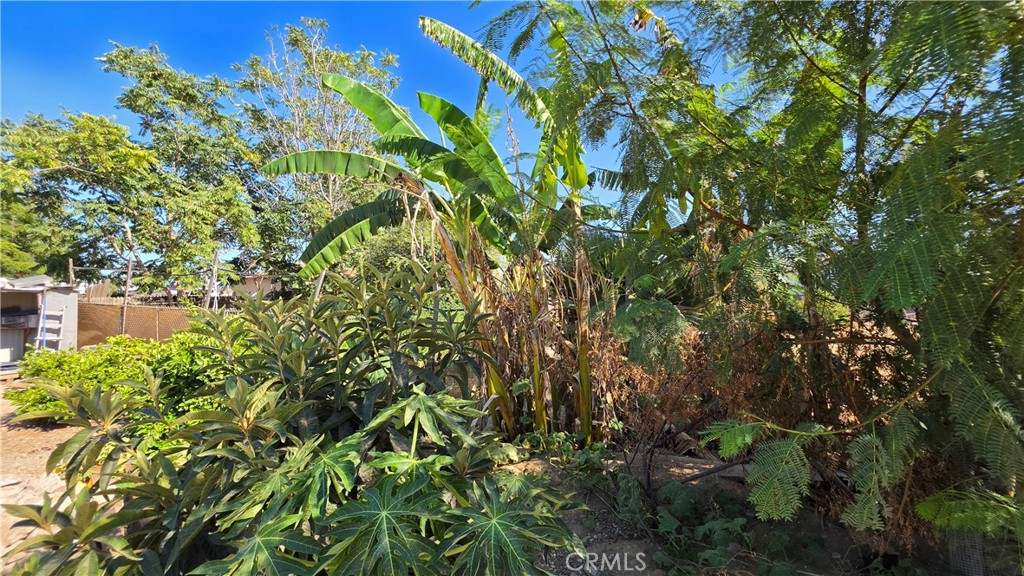 21975 Markham Street Property Photo 12