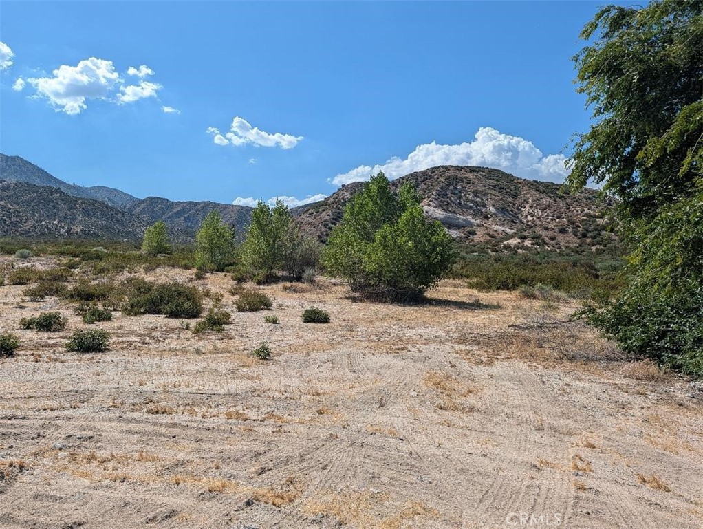6263 Dusty Property Photo