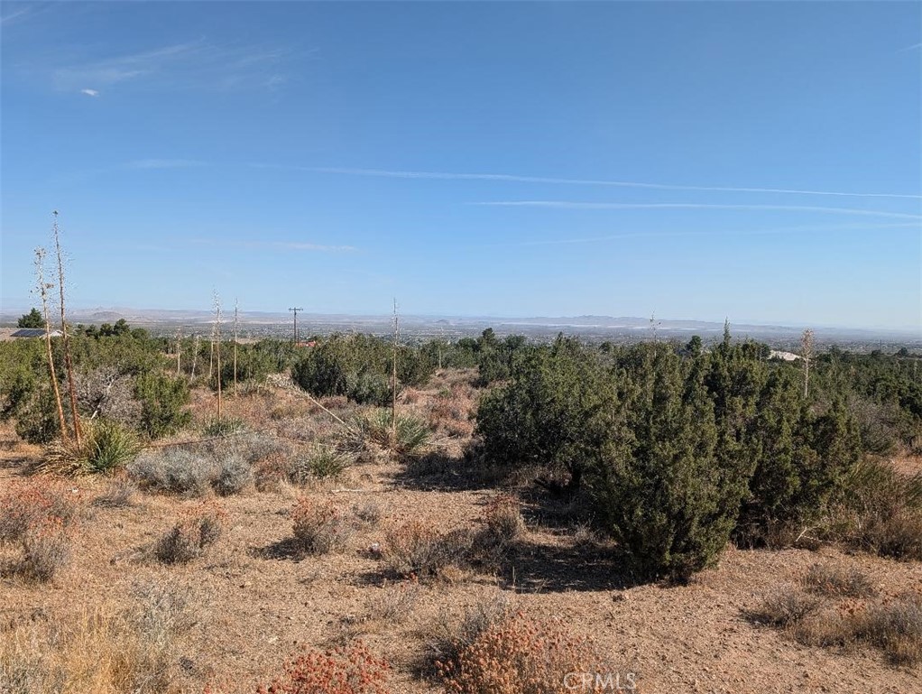 12 Tamarack Property Photo 1