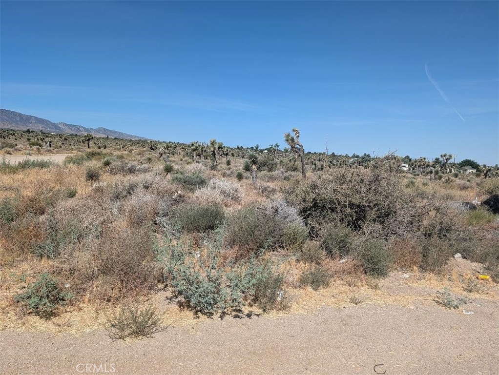12 Sheep Creek Property Photo 3