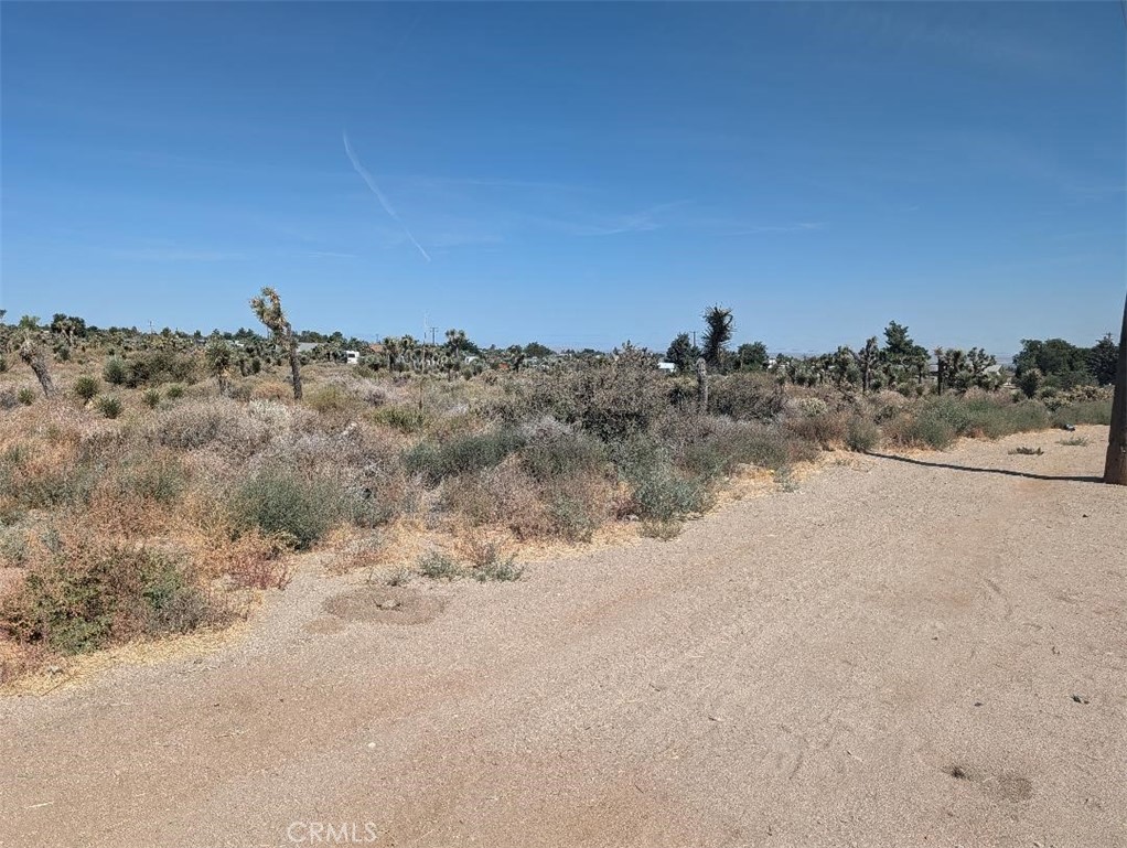 12 Sheep Creek Property Photo 7