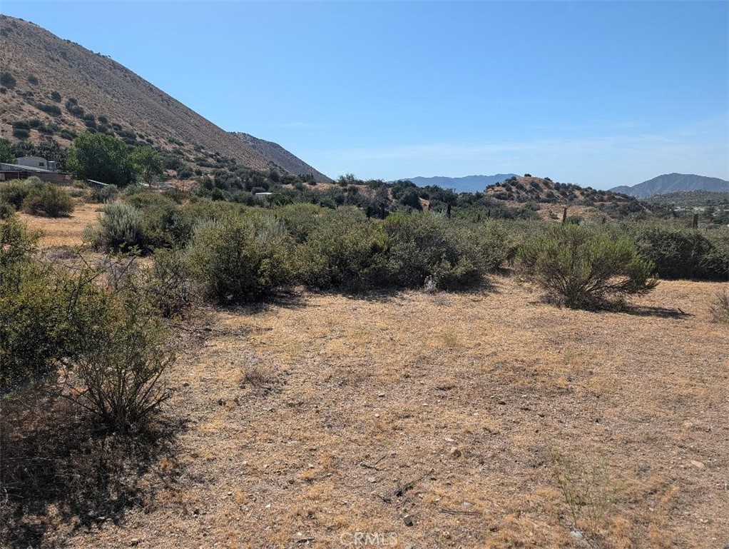 12 Paramount Property Photo 1