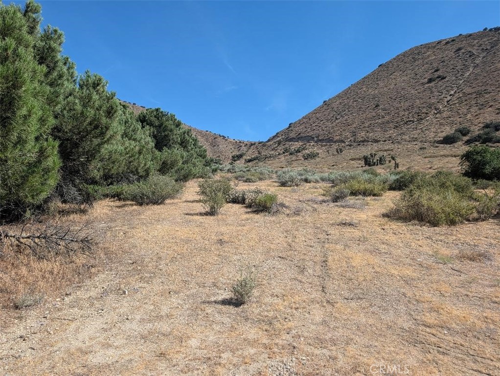 12 Paramount Property Photo 3