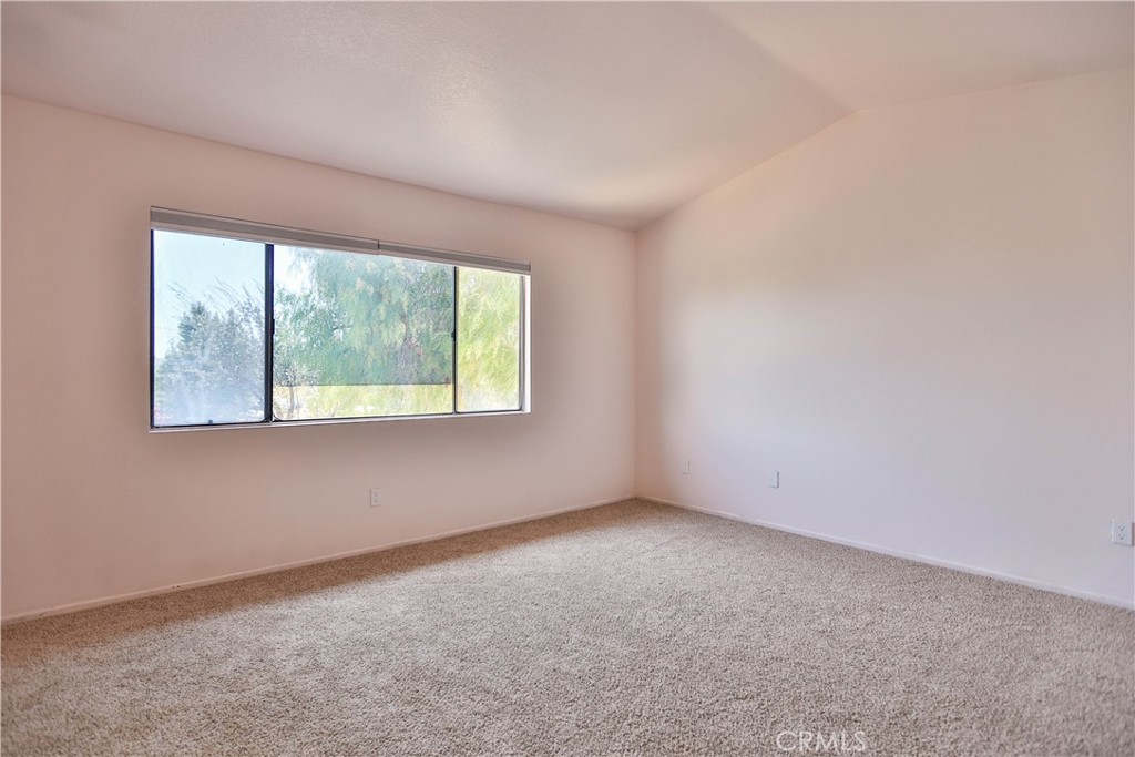 24307 Carman Property Photo 33