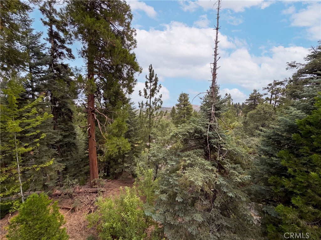 295 Fairway Property Photo 22