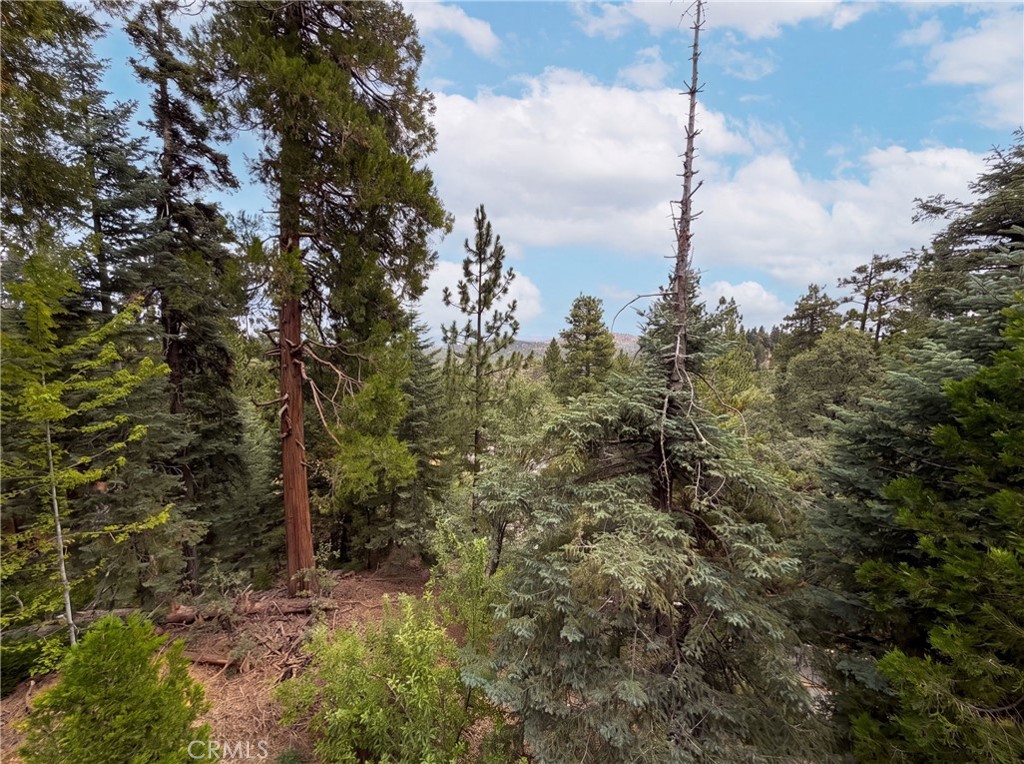 295 Fairway Property Photo 22