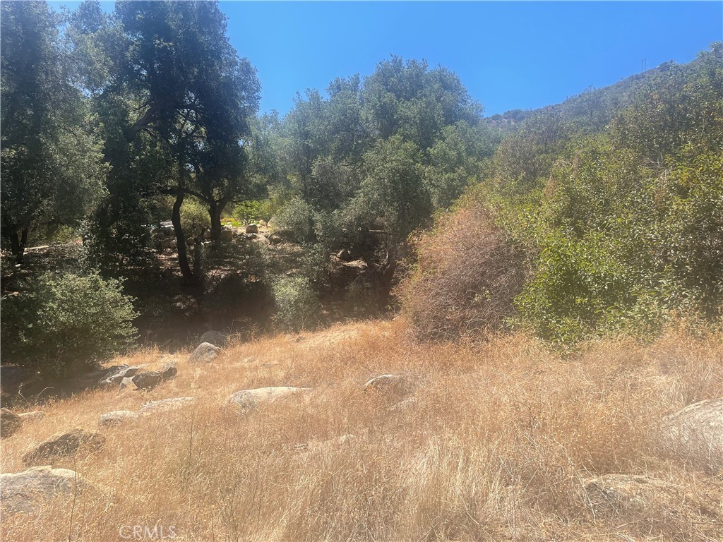 0 Friar Tuck Way Property Photo 1