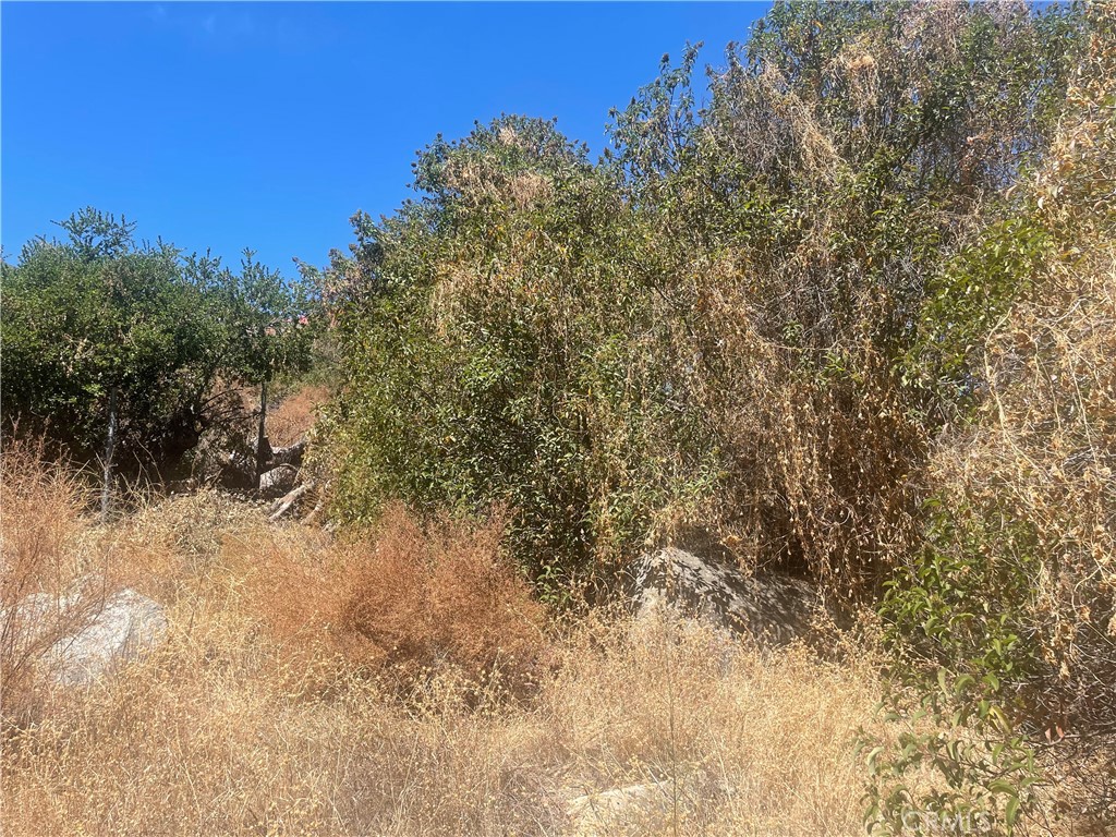 0 Friar Tuck Way Property Photo 3