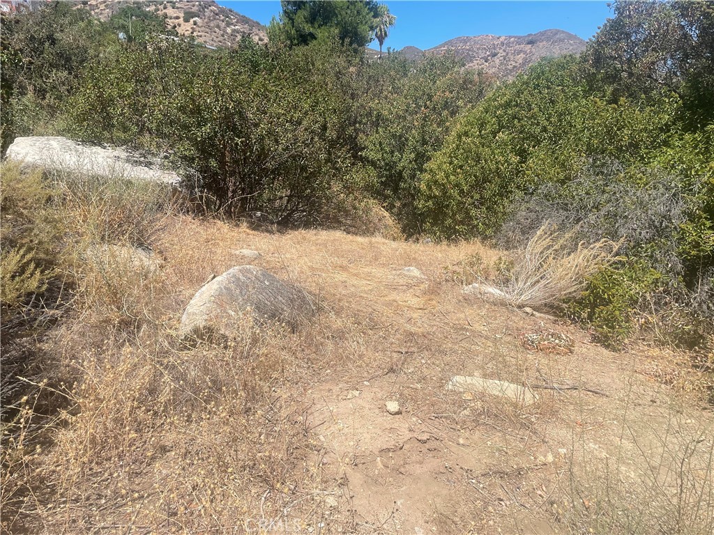 0 Friar Tuck Way Property Photo 4