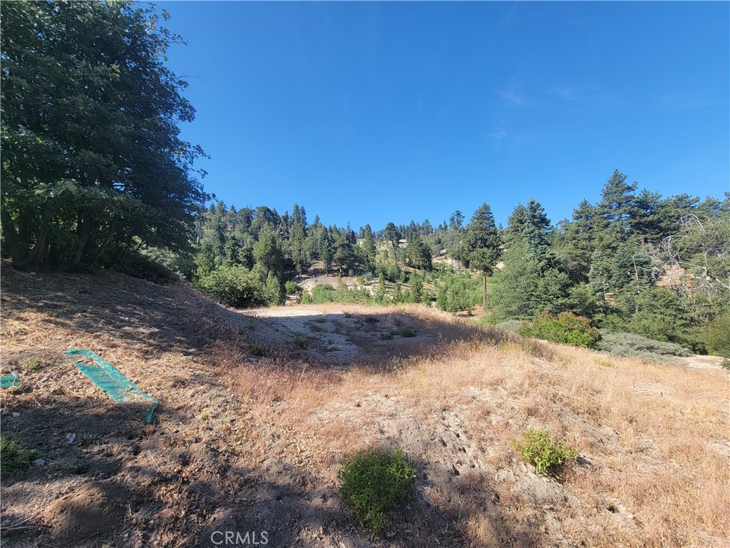 33345 Angeles Property Photo 1