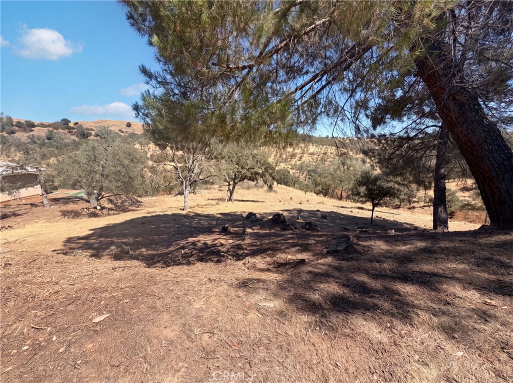 6041 Thornicroft Property Photo 27