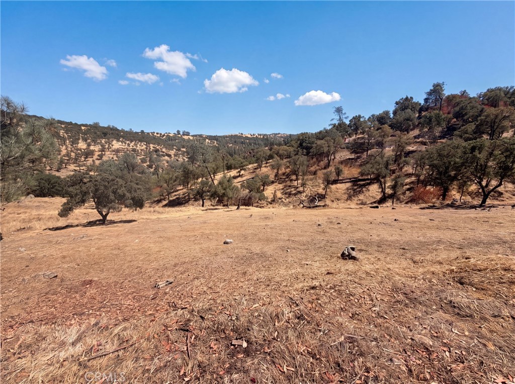 6041 Thornicroft Property Photo 28