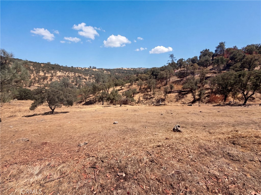 6041 Thornicroft Property Photo 28