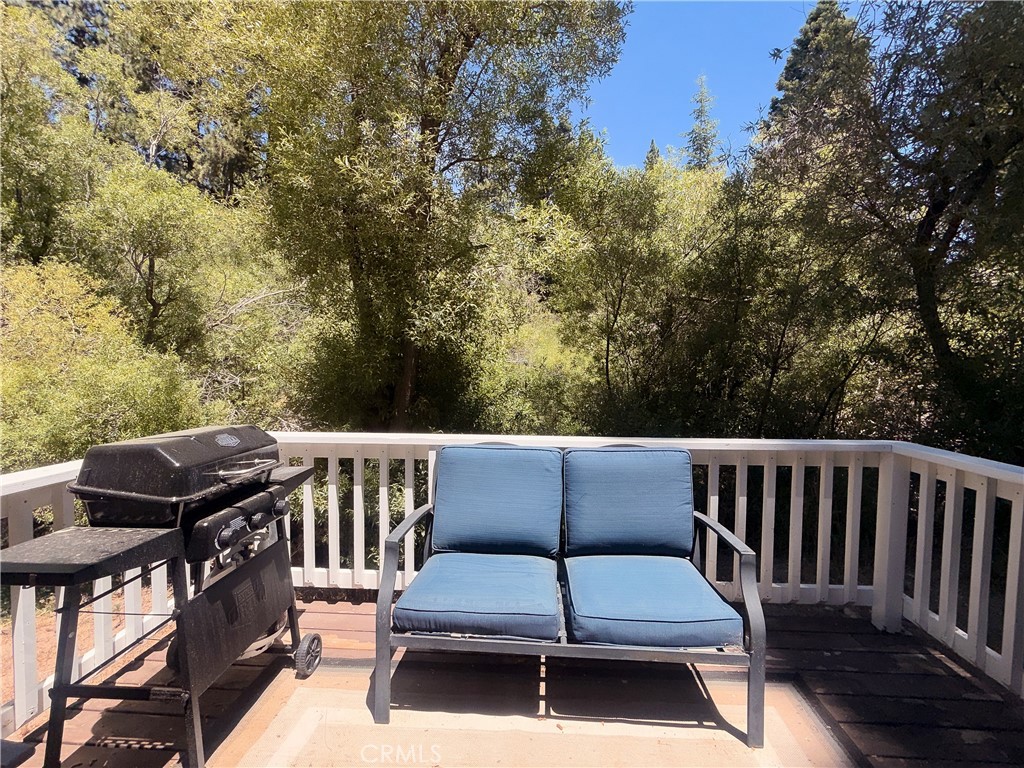 33492 Wild Rose Property Photo 4