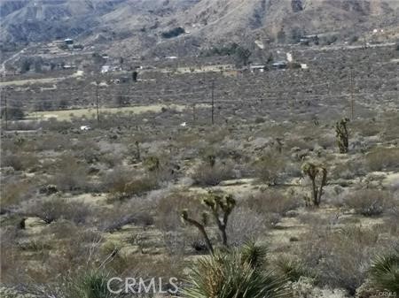 0 29 Palms Highway Property Photo 3