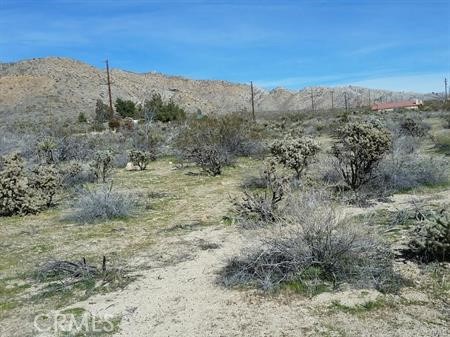 0 29 Palms Highway Property Photo 4