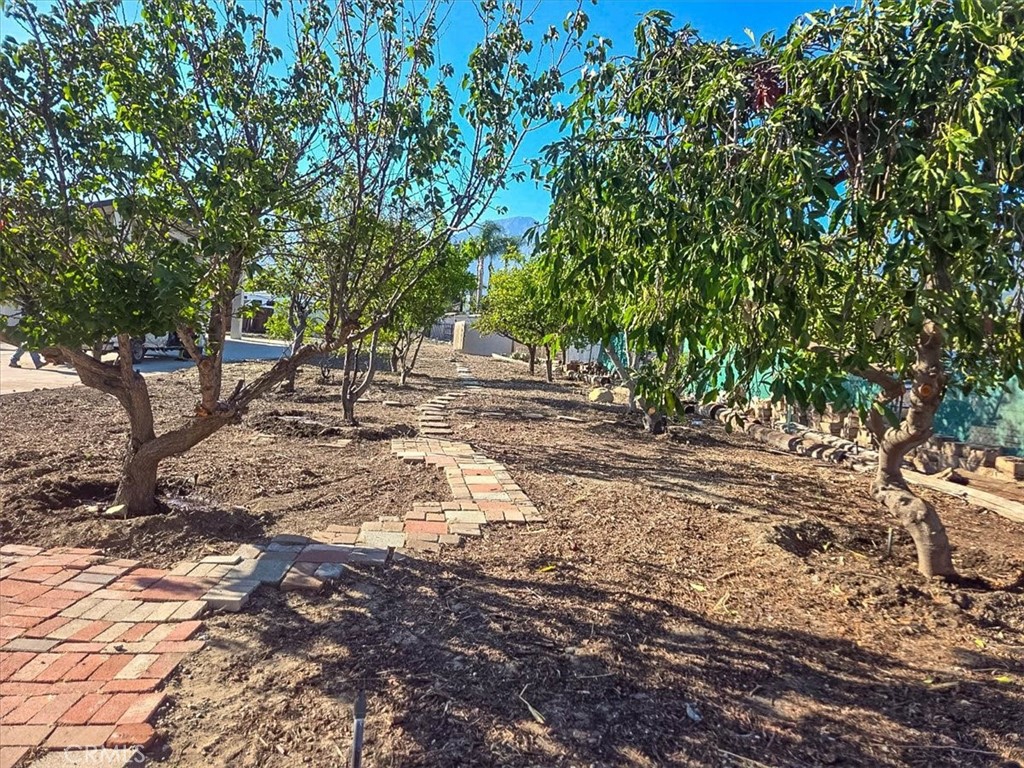 8440 Pumalo Property Photo 37