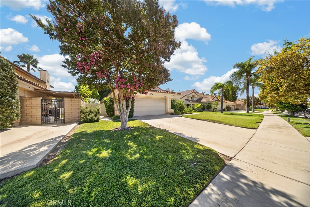 1220 Jasmine Property Photo 3