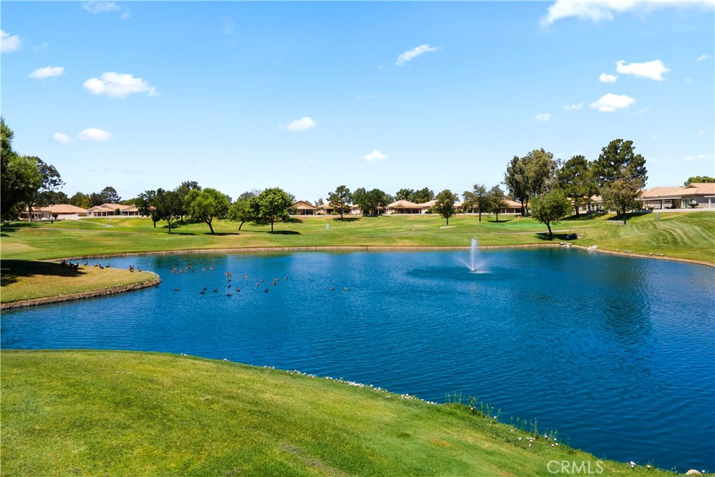 4860 Rolling Hills Property Photo 29