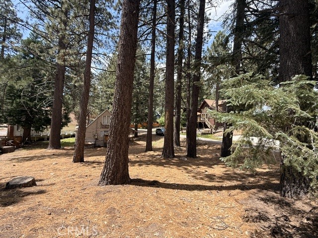 33390 Wild Rose Property Photo 21