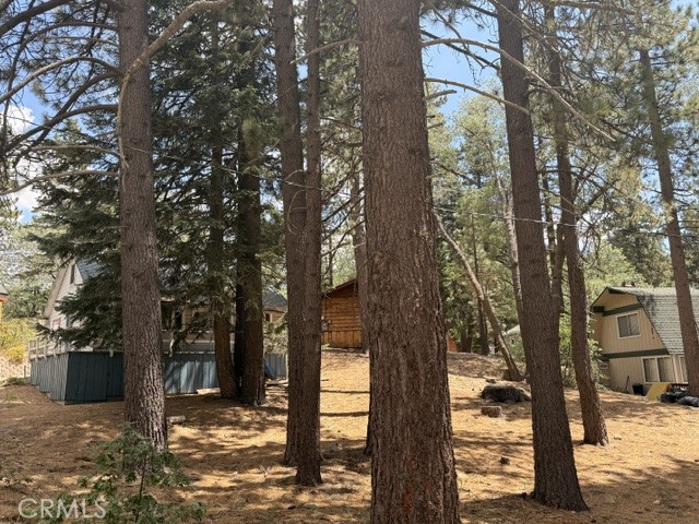 33390 Wild Rose Property Photo 22
