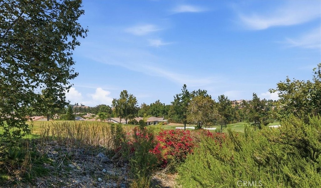 24211 Whitetail Property Photo 32