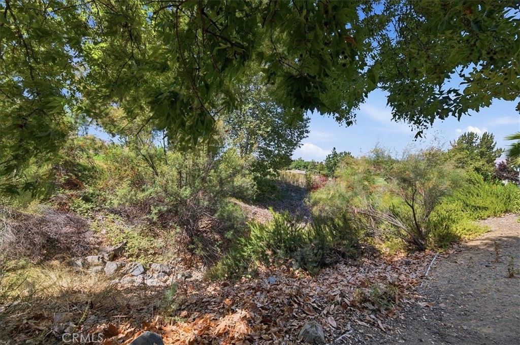 24211 Whitetail Property Photo 33