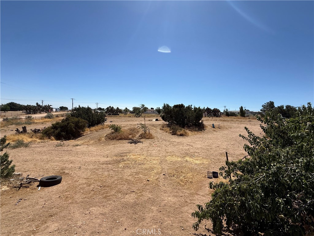 6439 Lime Property Photo 22