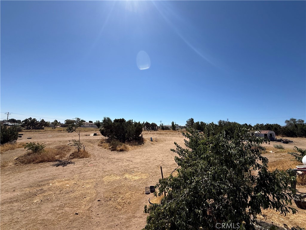 6439 Lime Property Photo 23