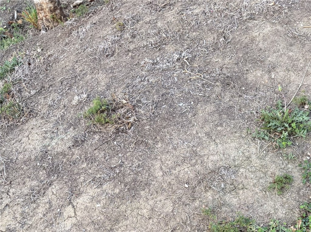 1530 E Marshall Property Photo 1