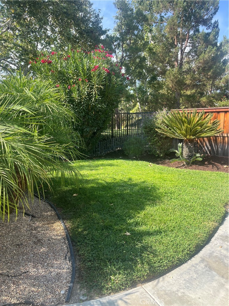36324 Clearwater Court Property Photo 37