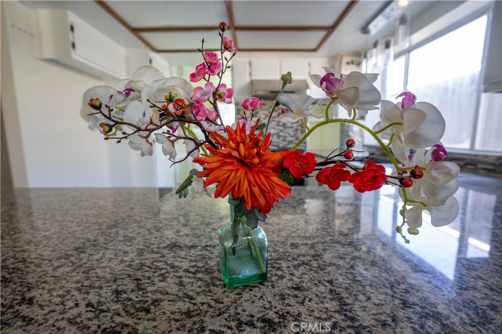 12825 Bermuda Dunes Property Photo 26