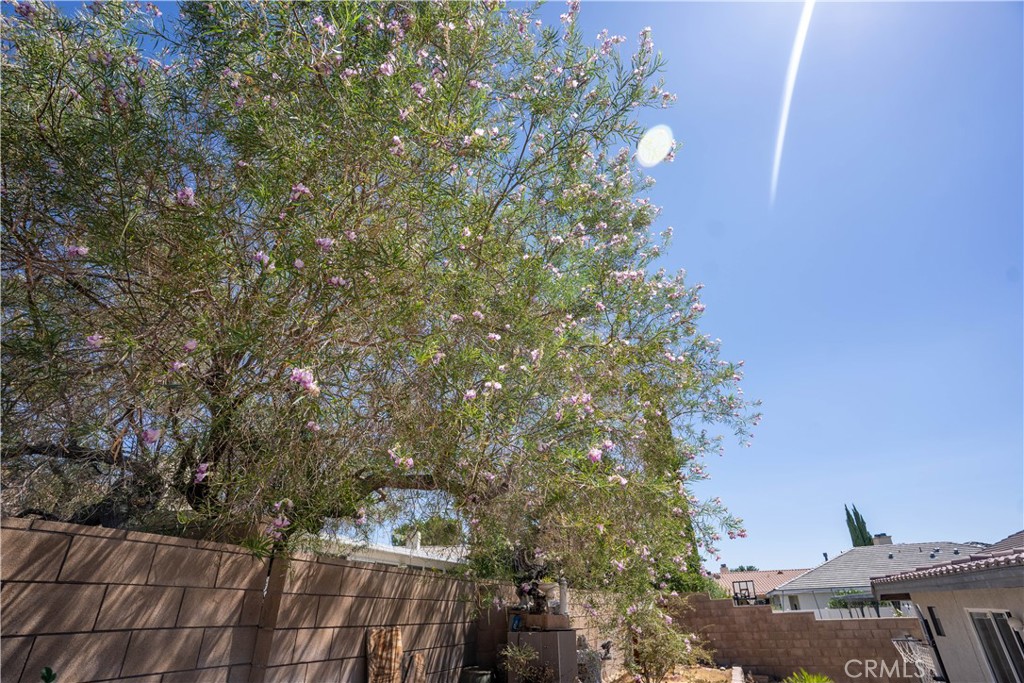 12825 Bermuda Dunes Property Photo 29